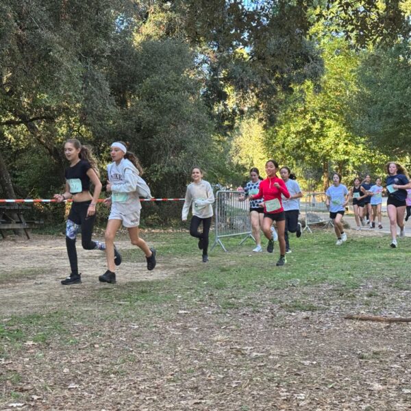 2025-10-06_Cross_COIV_IMG_5042_tiny